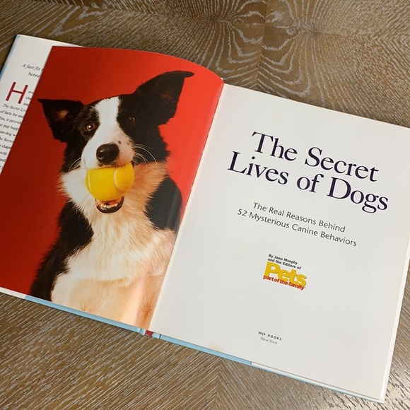PETS The Secret Lives of Dogs Real Reasons Behind 52 Mysterious Behavior Book - Picture 5 of 15